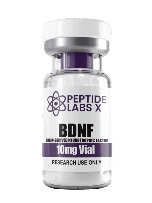 BDNF (Brain-derived neurotrophic factor) (10mg)